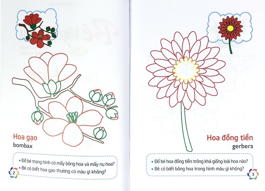 tập tô màu và nhận biết thế giới xung quanh - các loại hoa