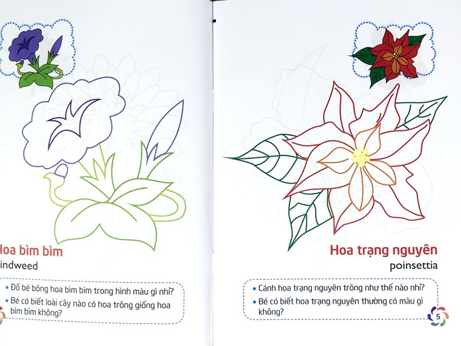 tập tô màu và nhận biết thế giới xung quanh - các loại hoa