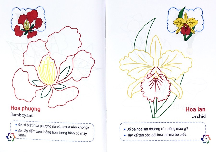 tập tô màu và nhận biết thế giới xung quanh - các loại hoa