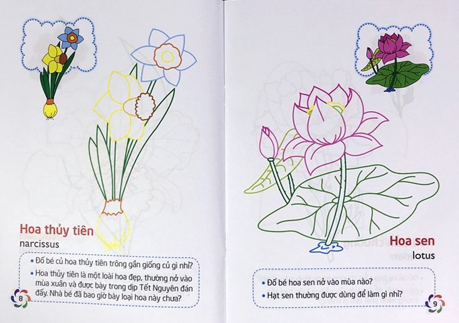 tập tô màu và nhận biết thế giới xung quanh - các loại hoa