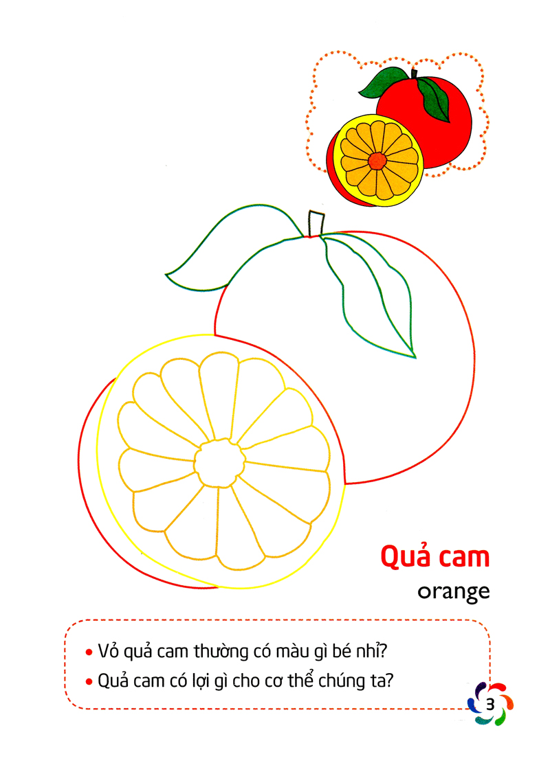 tập tô màu và nhận biết thế giới xung quanh - các loại quả