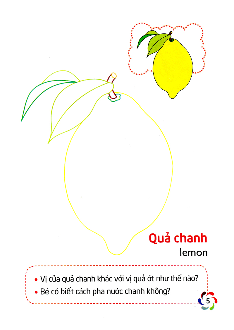 tập tô màu và nhận biết thế giới xung quanh - các loại quả