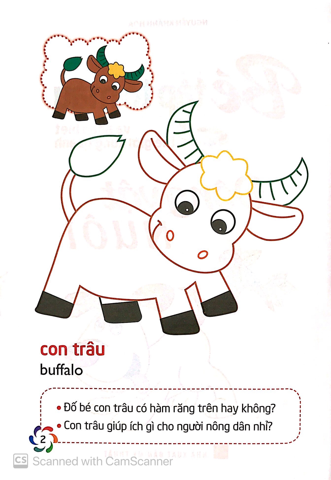 tập tô màu và nhận biết thế giới xung quanh - động vật nuôi