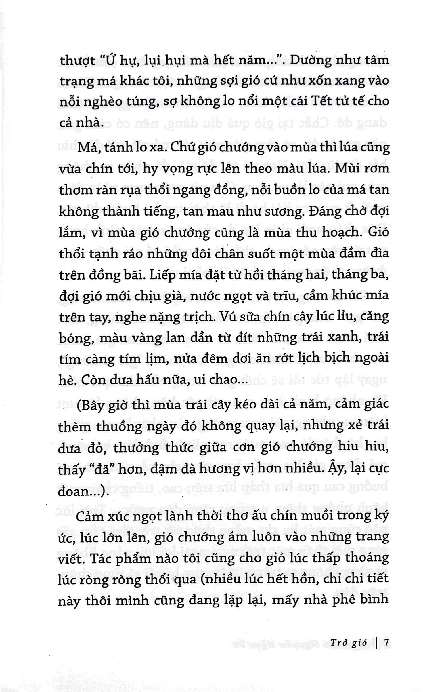 tạp văn nguyễn ngọc tư (tái bản 2020)