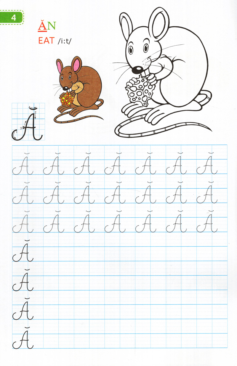 tập viết chữ đẹp & tô màu - kiểu chữ hoa (khổ nhỏ)