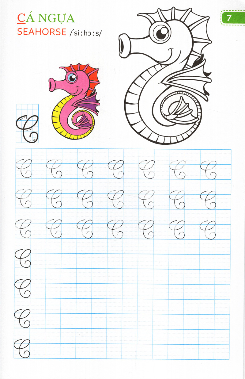 tập viết chữ đẹp & tô màu - kiểu chữ hoa (khổ nhỏ)