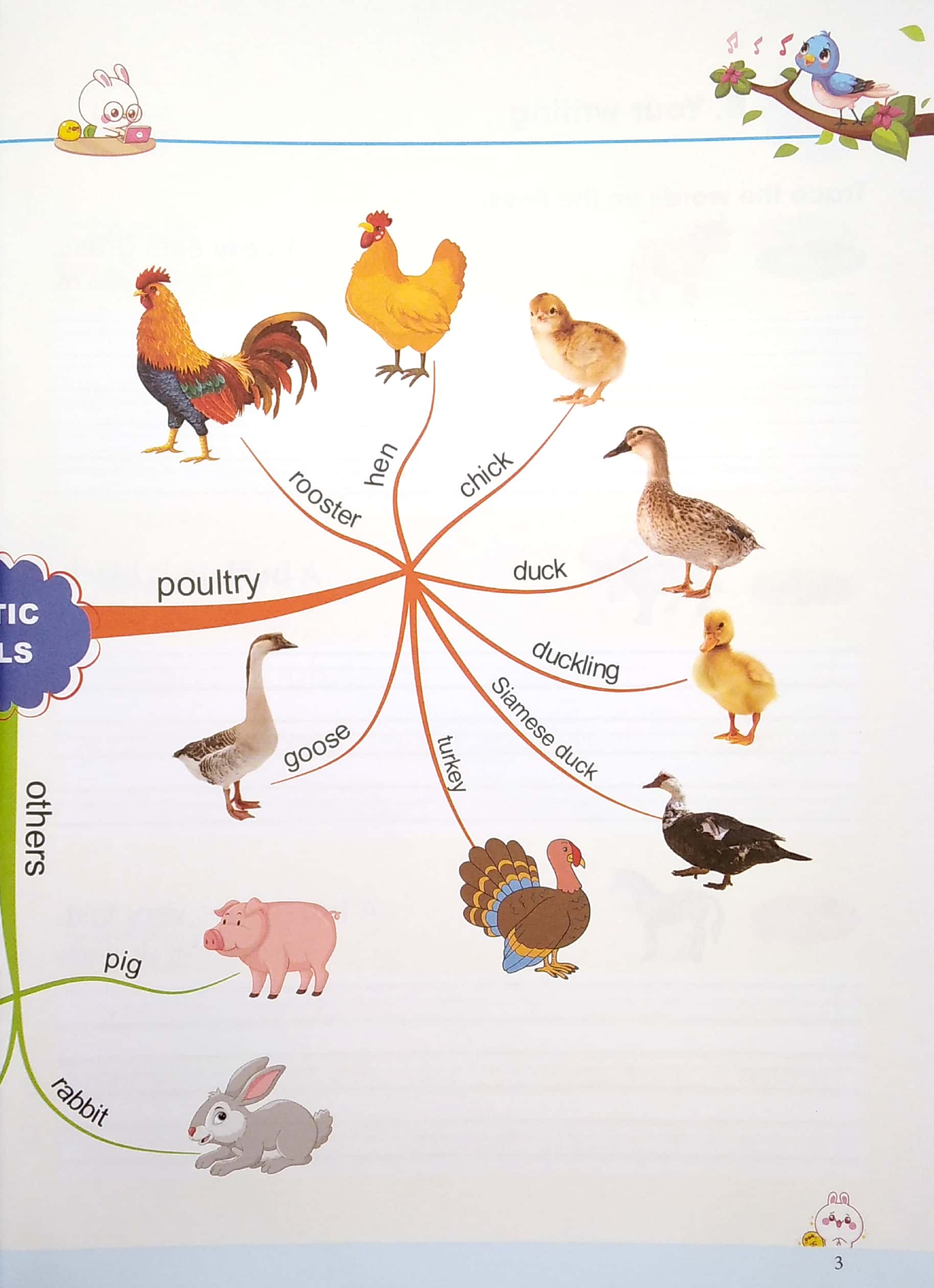 tập viết tiếng anh cho trẻ - động vật