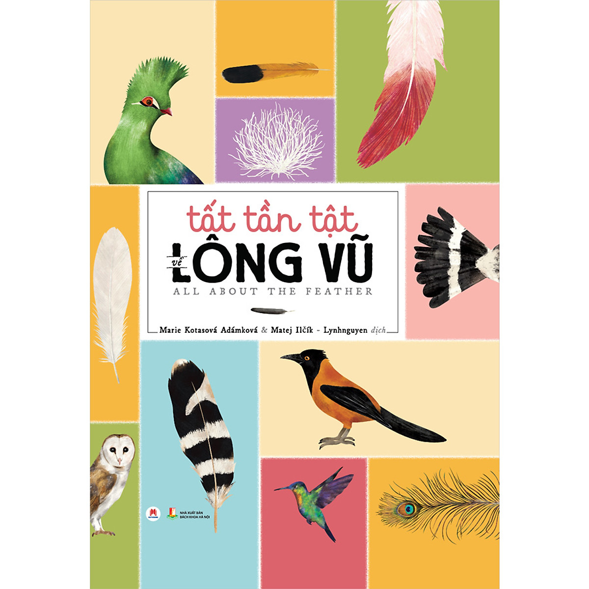 tất tần tật về lông vũ