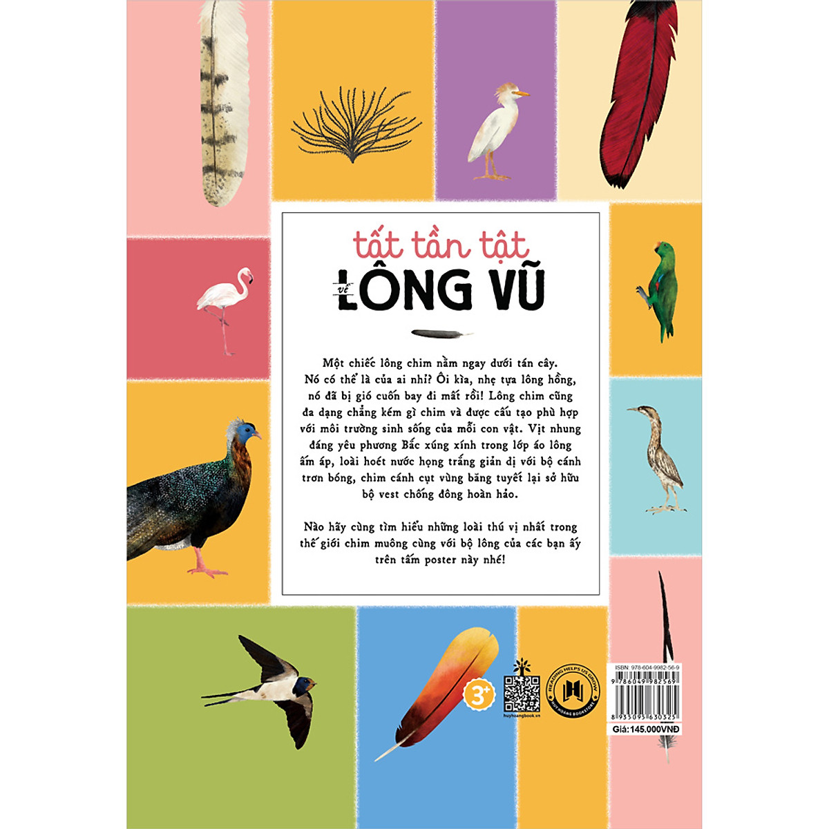 tất tần tật về lông vũ