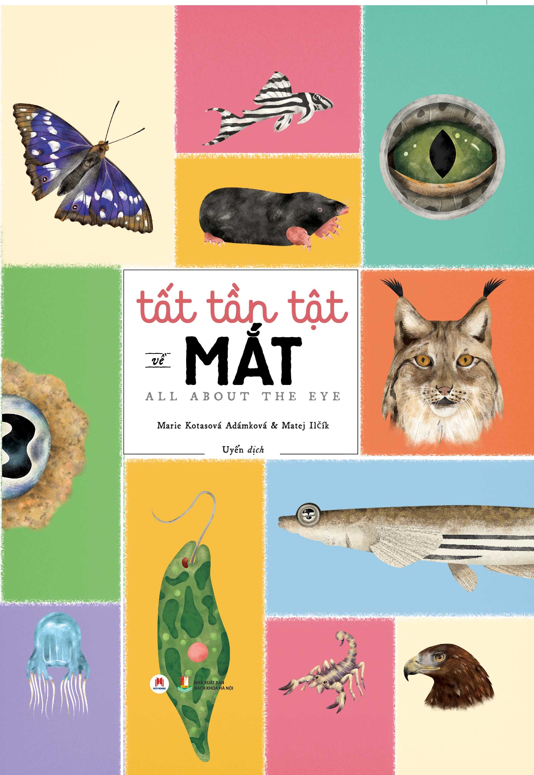 tất tần tật về mắt - all about the eye