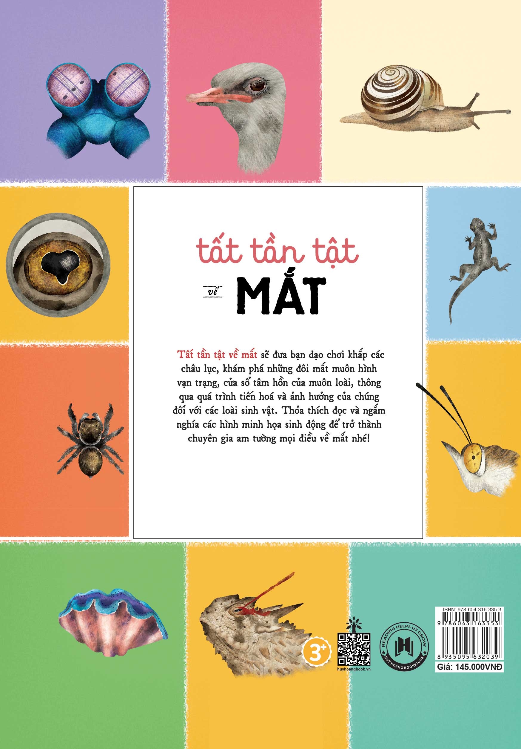 tất tần tật về mắt - all about the eye