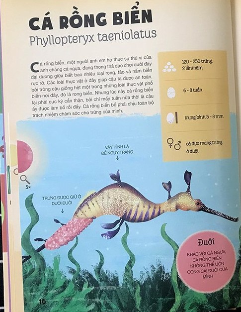 tất tần tật về trứng