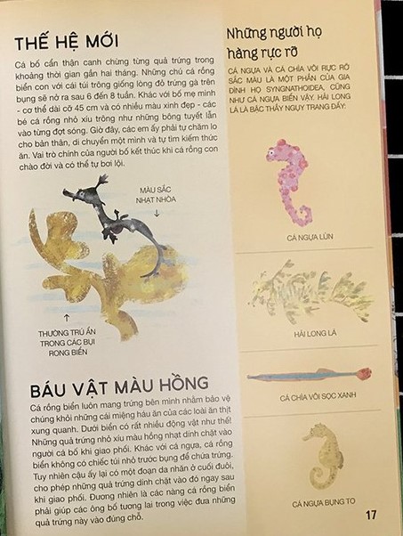 tất tần tật về trứng