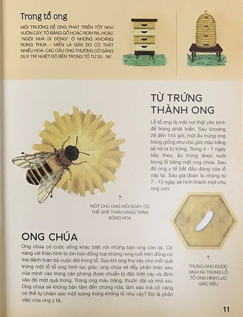 tất tần tật về trứng