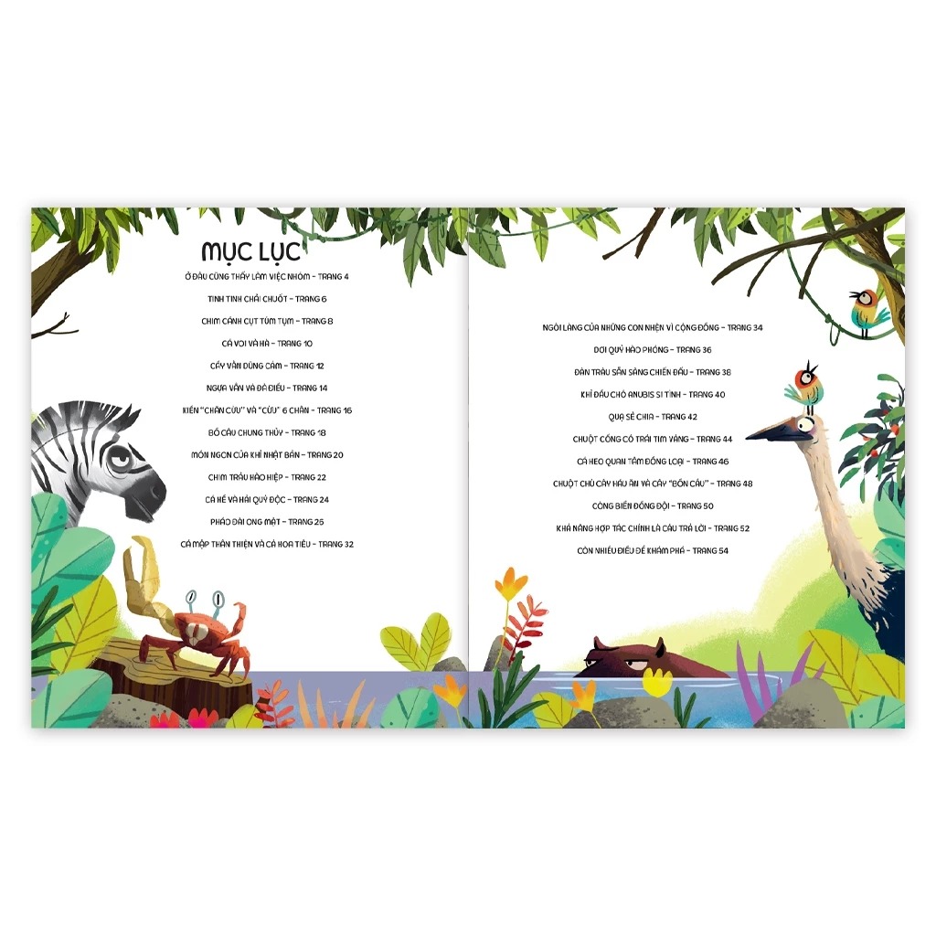 teamwork làm việc nhóm - bài học từ vương quốc động vật