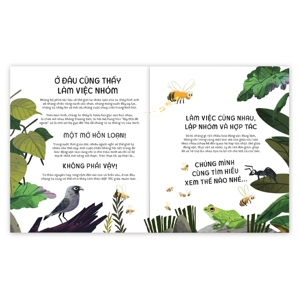 teamwork làm việc nhóm - bài học từ vương quốc động vật