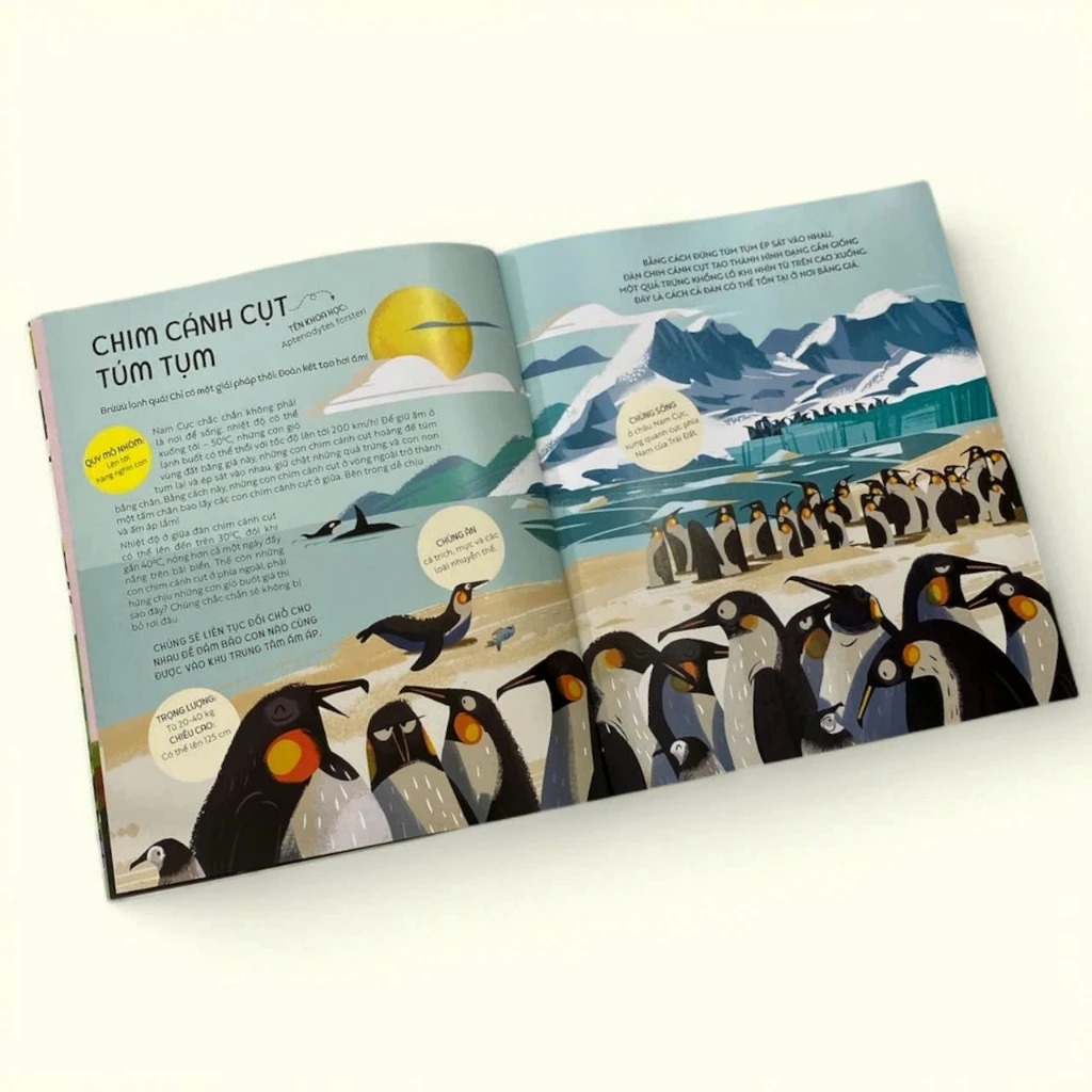 teamwork làm việc nhóm - bài học từ vương quốc động vật