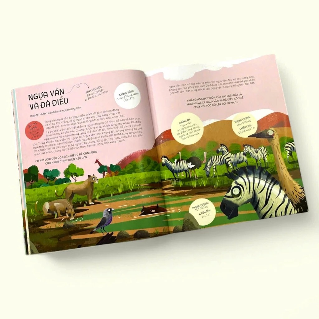 teamwork làm việc nhóm - bài học từ vương quốc động vật