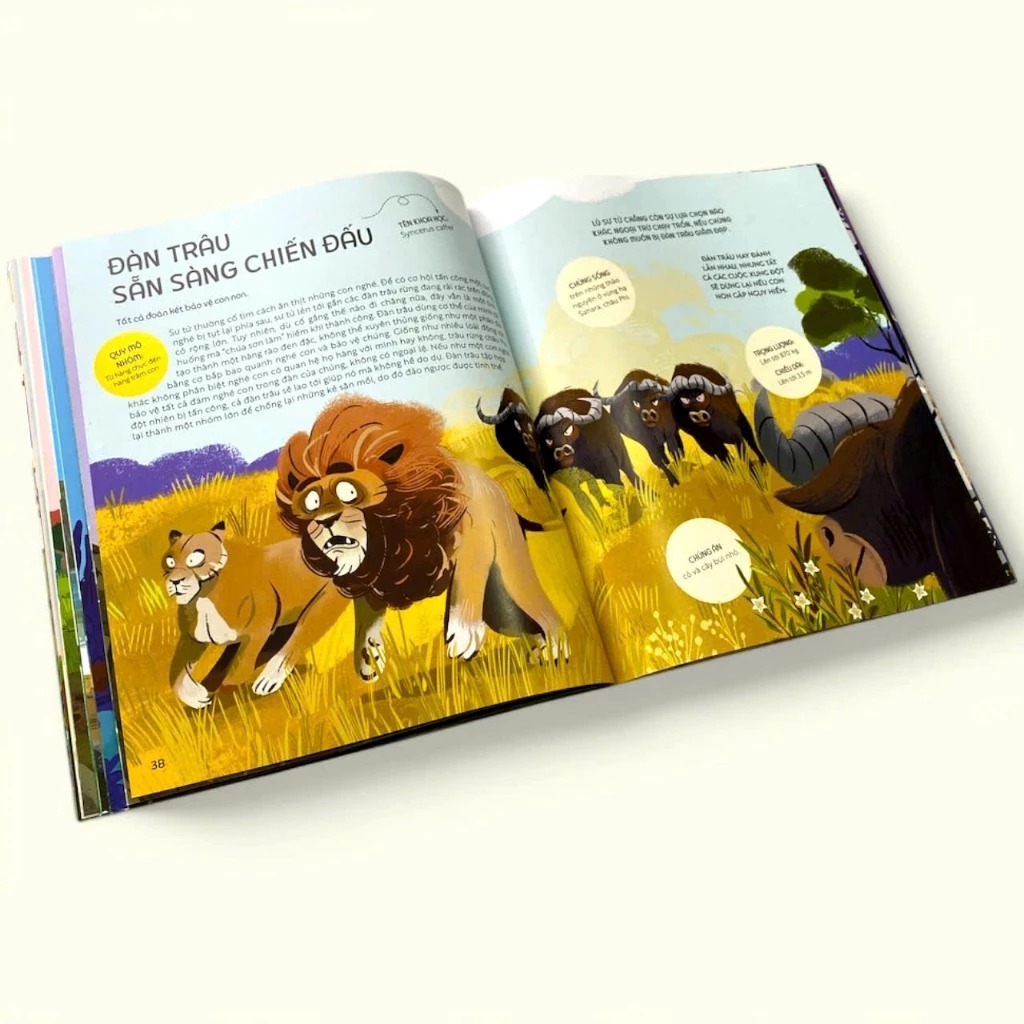 teamwork làm việc nhóm - bài học từ vương quốc động vật