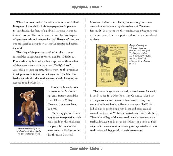 teddy: the remarkable tale of a president, a cartoonist, a toymaker and a bear