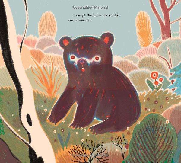 teddy: the remarkable tale of a president, a cartoonist, a toymaker and a bear