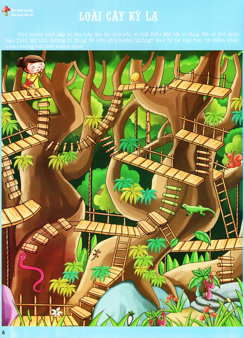 thám hiểm rừng xanh