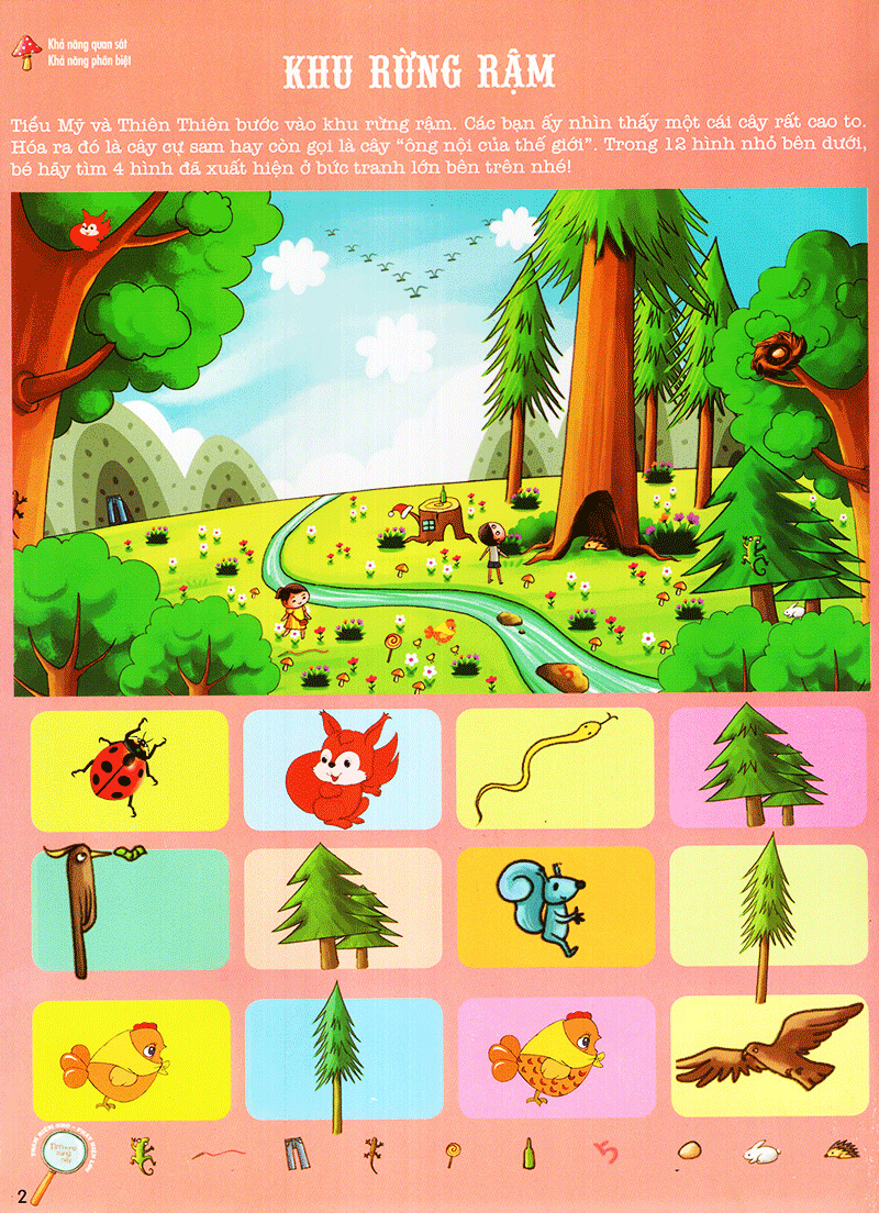 thám hiểm rừng xanh