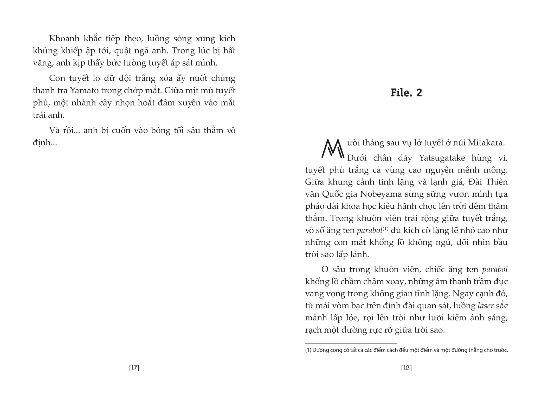 Tham Tu Lung Danh Conan - Tieu Thuyet - Du Anh Cua Doc Nhan