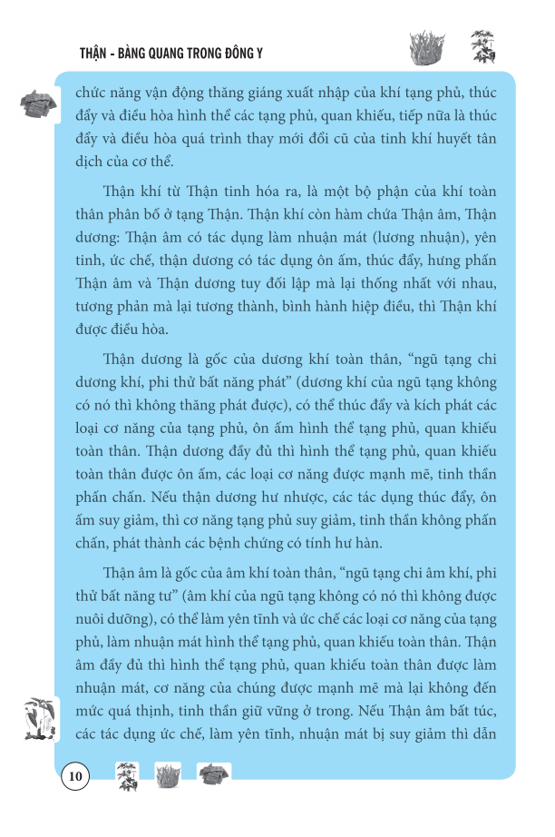 thận bàng quang trong đông y