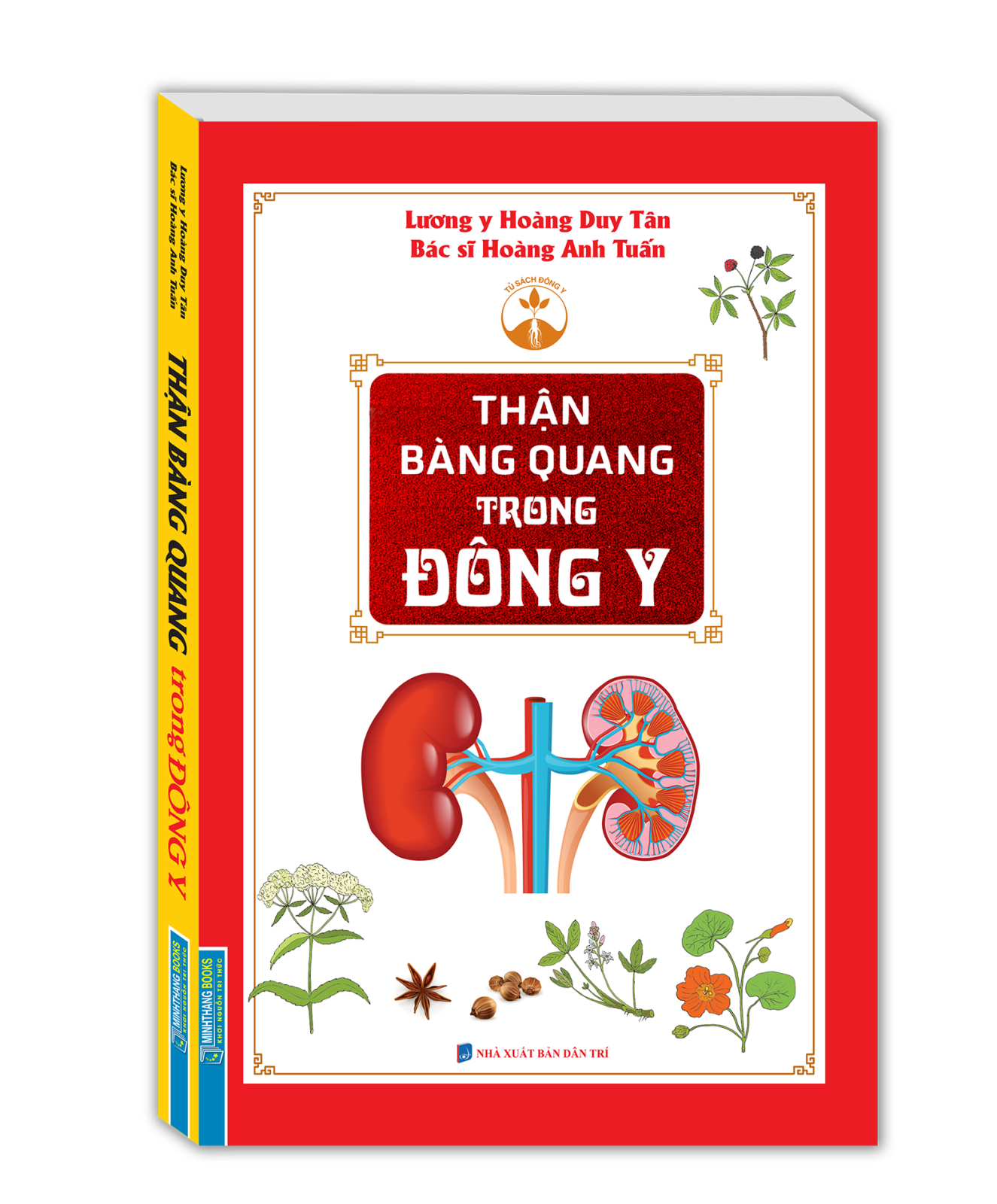 thận bàng quang trong đông y