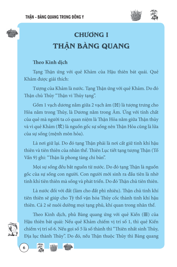 thận bàng quang trong đông y