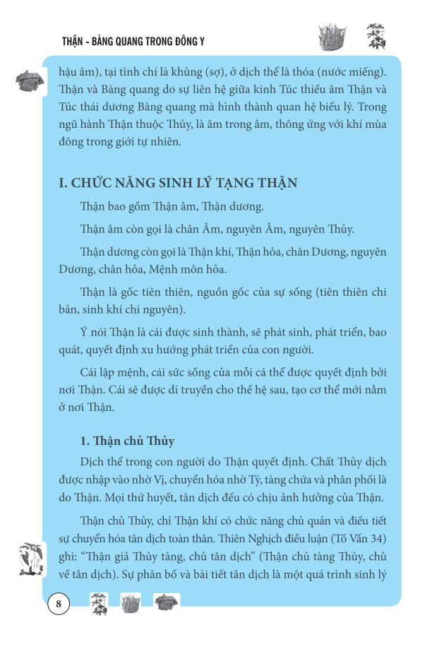 thận bàng quang trong đông y