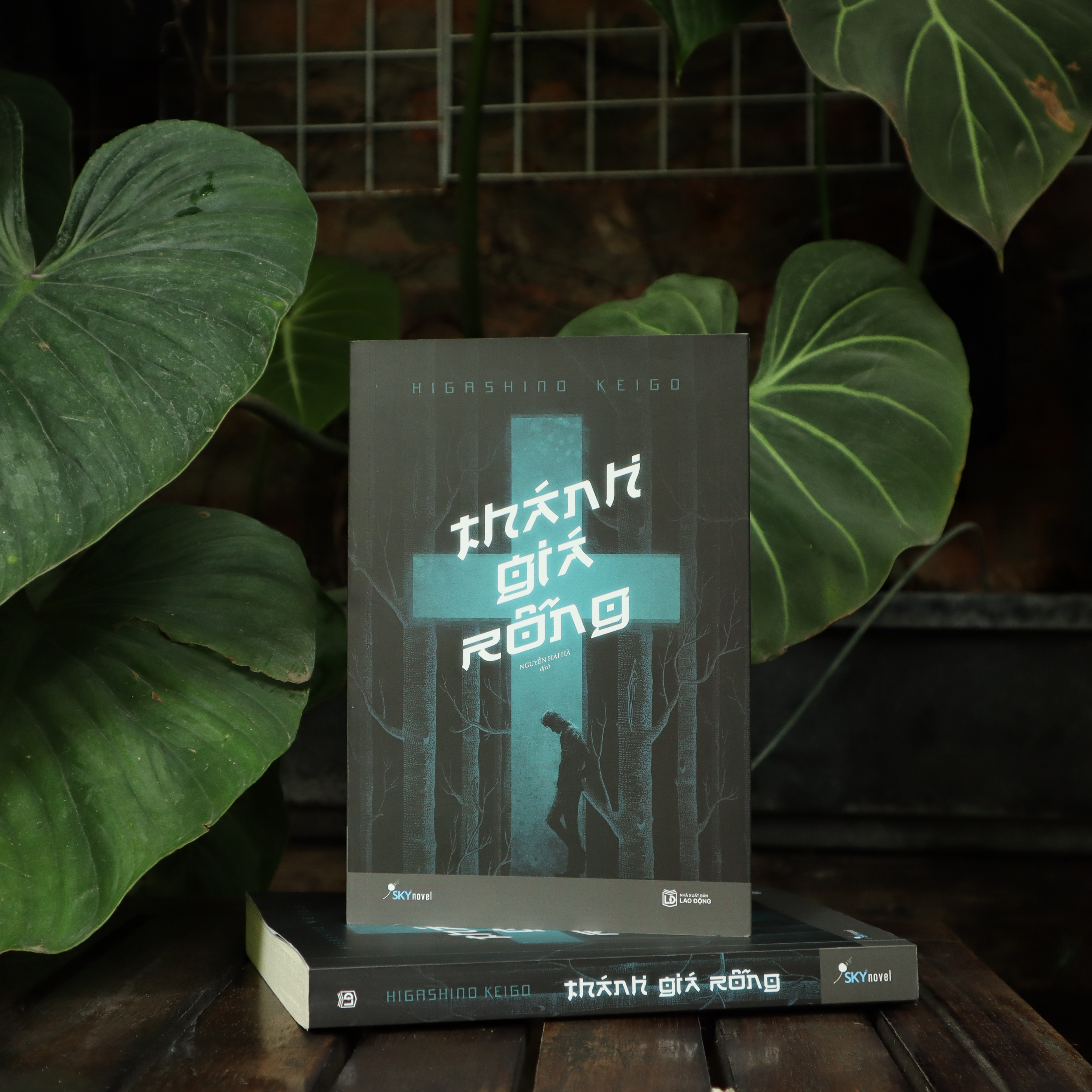 thánh giá rỗng (tái bản 2024)