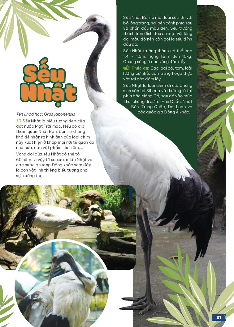 thảo cầm viên sài gòn - kho báu trong lòng thành phố