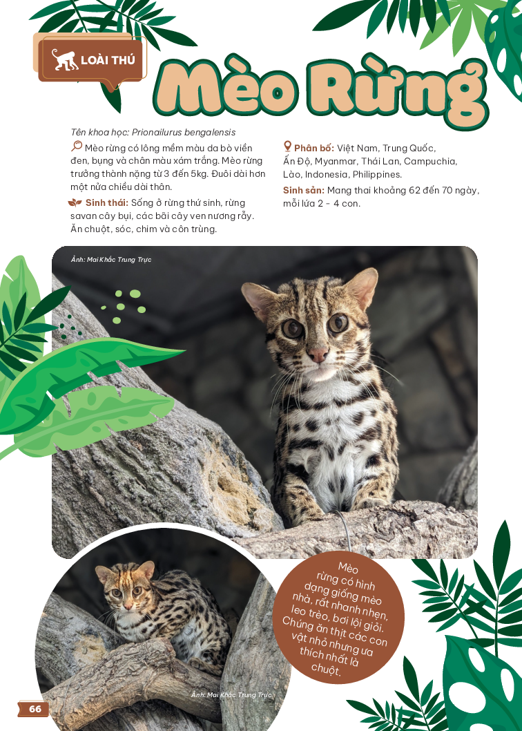 thảo cầm viên sài gòn - kho báu trong lòng thành phố