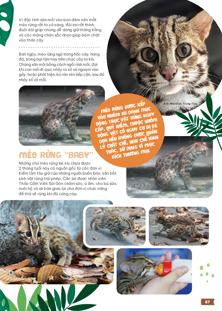 thảo cầm viên sài gòn - kho báu trong lòng thành phố