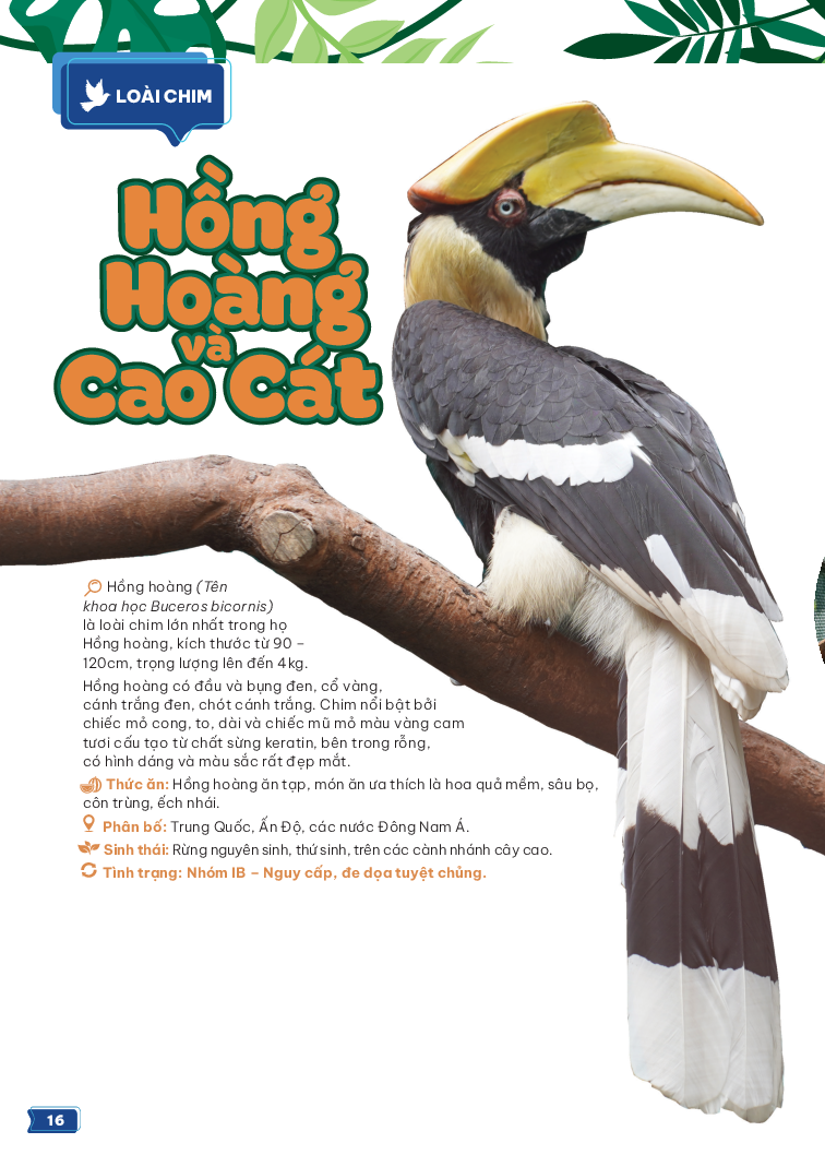 thảo cầm viên sài gòn - kho báu trong lòng thành phố