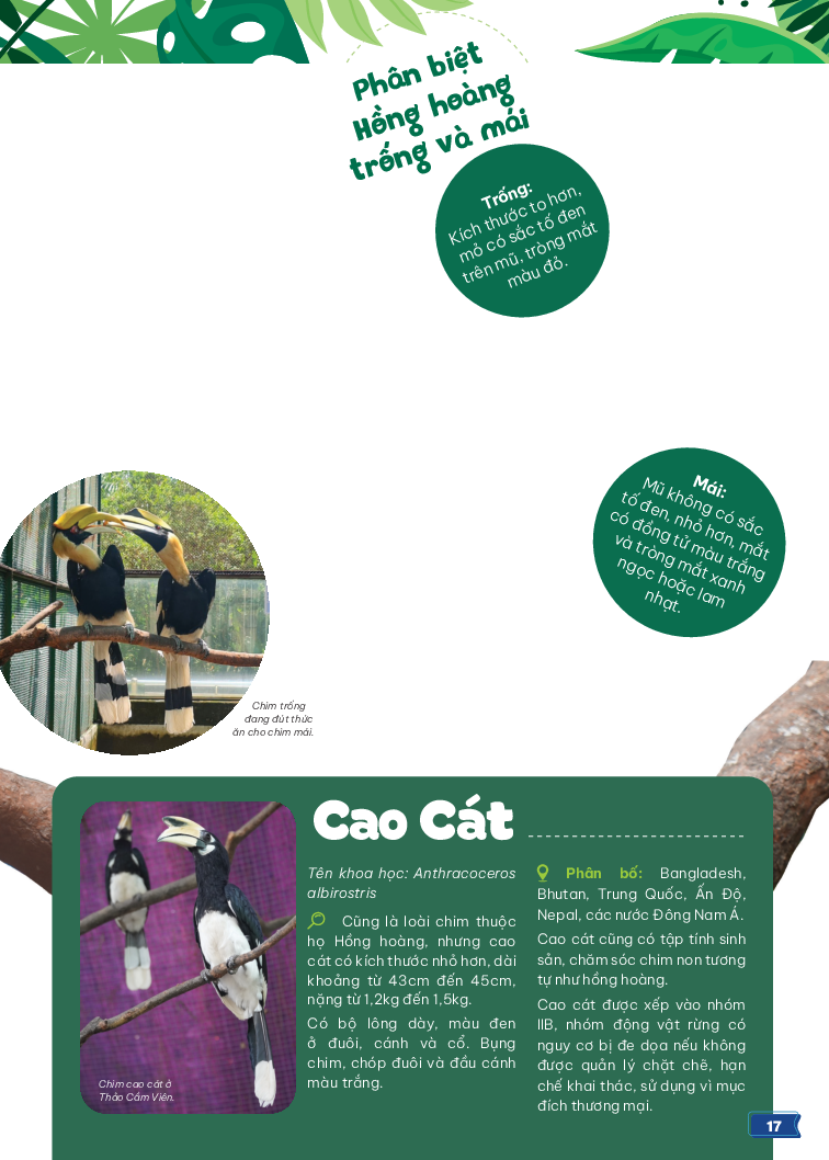 thảo cầm viên sài gòn - kho báu trong lòng thành phố