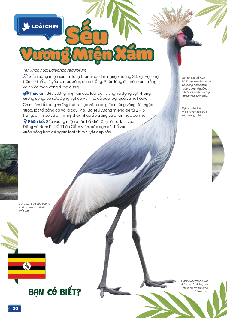 thảo cầm viên sài gòn - kho báu trong lòng thành phố