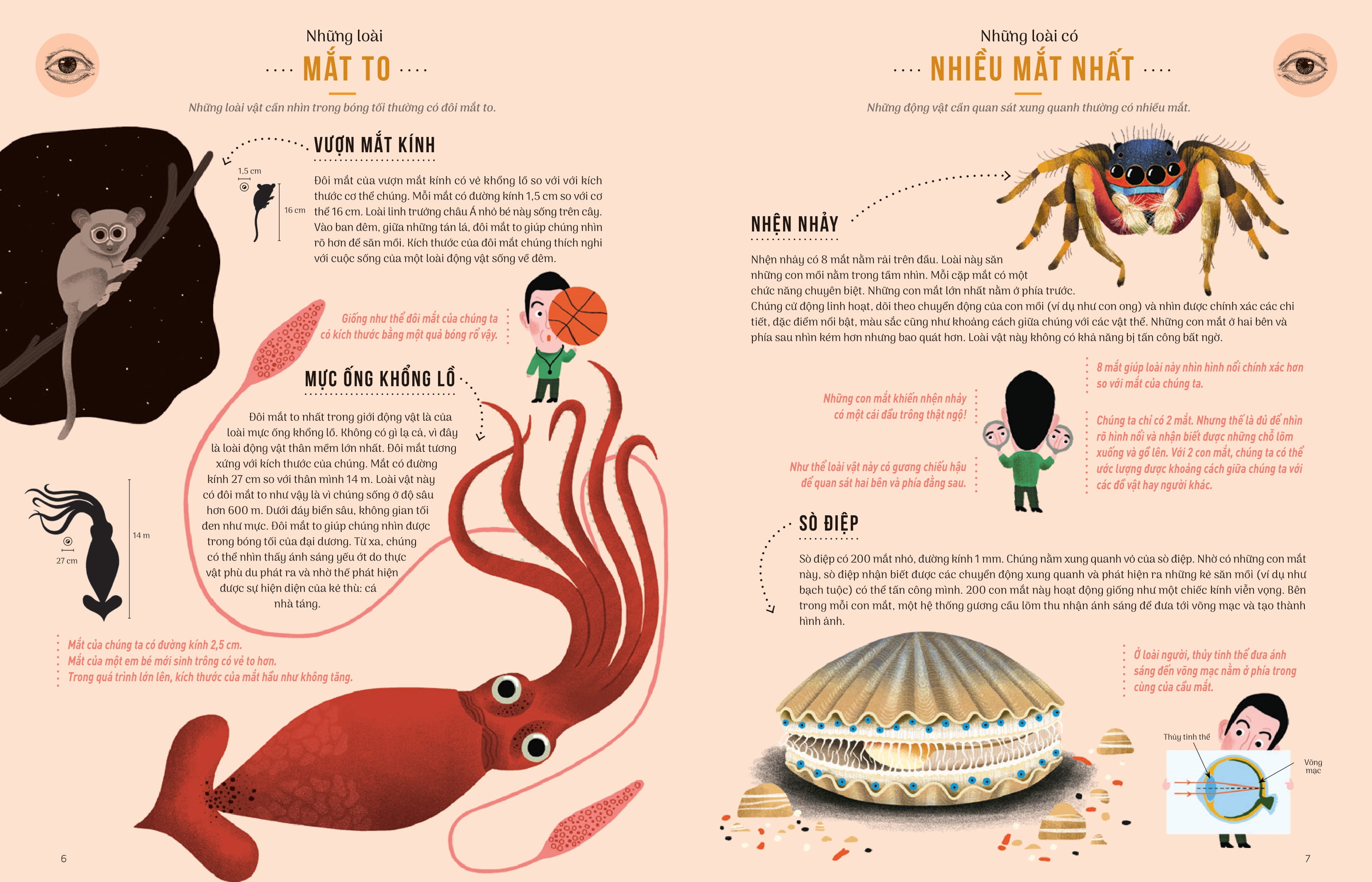 thật khó tin - so sánh năm giác quan giữa con người và động vật