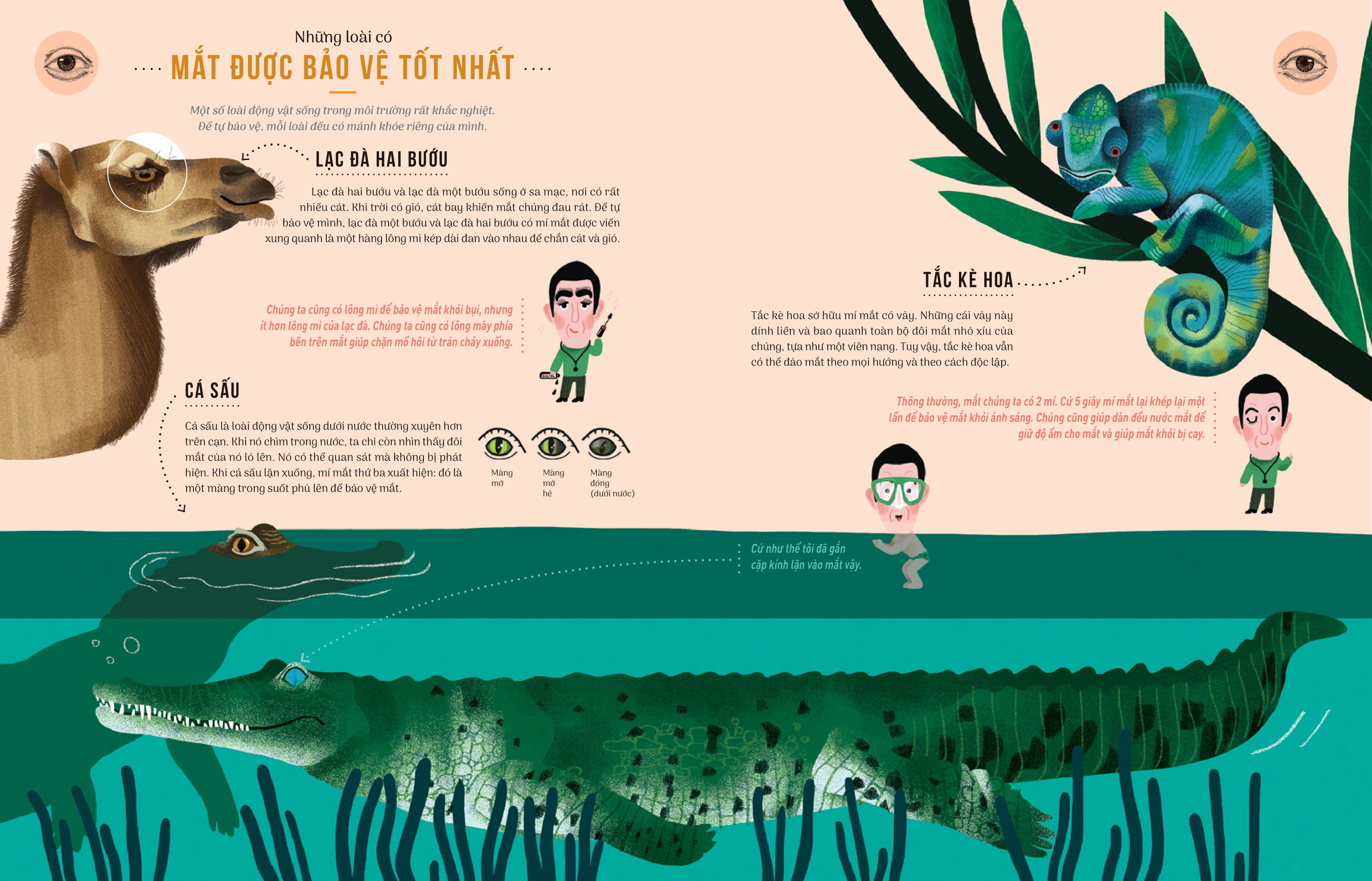 thật khó tin - so sánh năm giác quan giữa con người và động vật