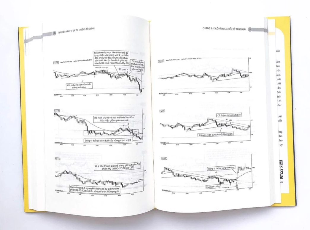 thấu hiểu hành vi giá thị trường tài chính - understanding price action