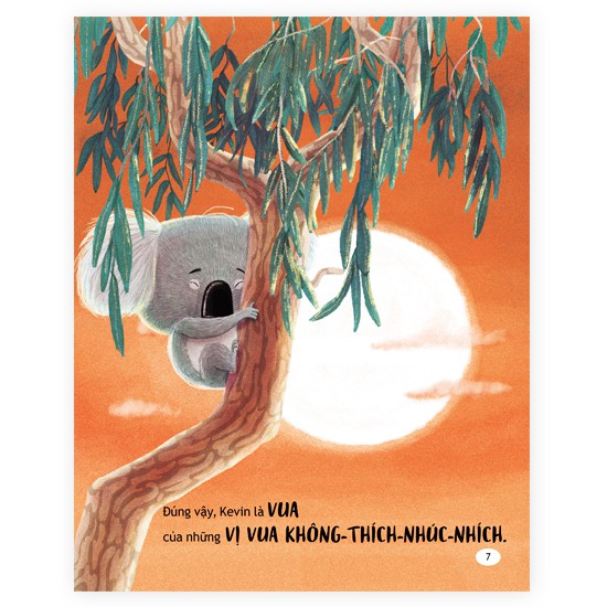 thay đổi để lớn khôn - gấu túi rời tổ ấm