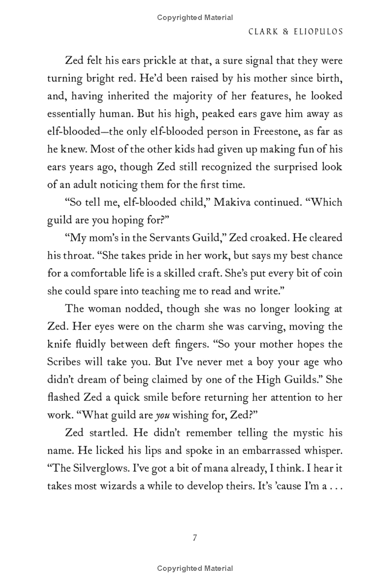 the adventurers guild 1