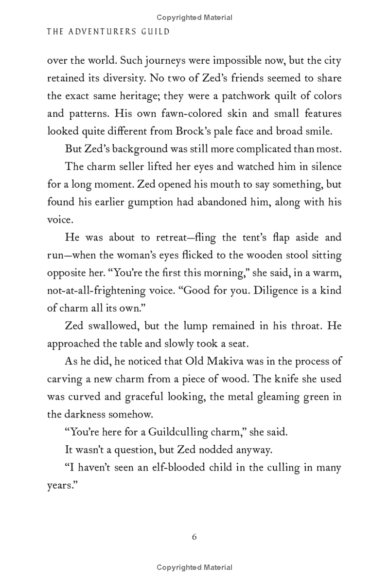 the adventurers guild 1