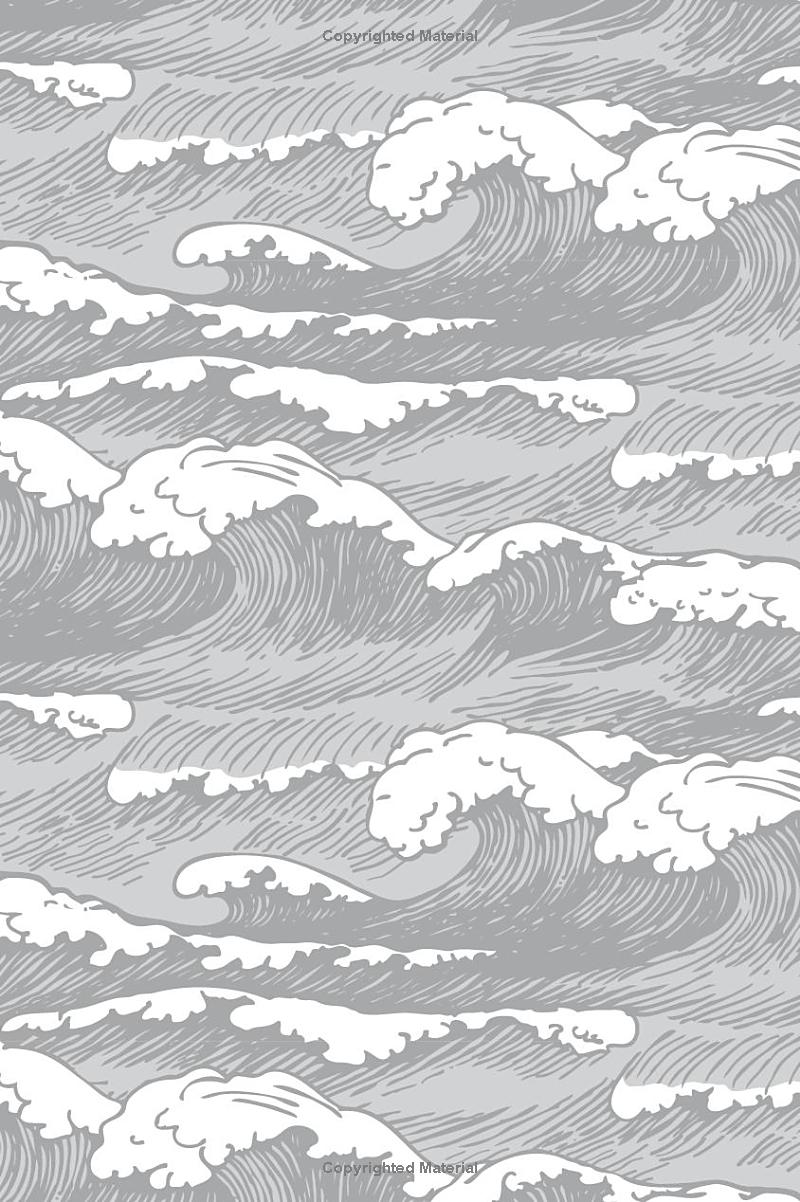 the adventures of amina al-sirafi