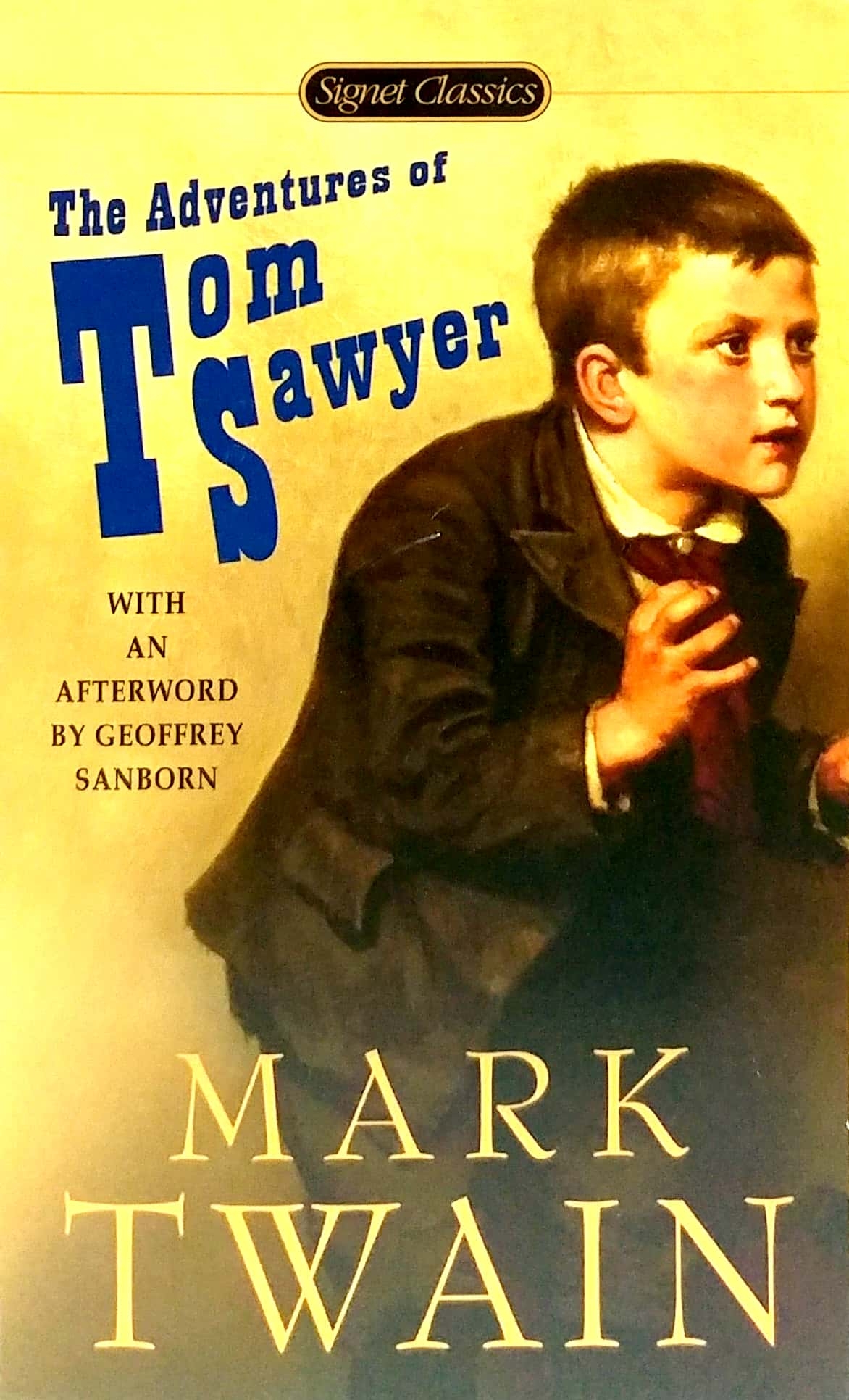 the adventures of tom sawyer