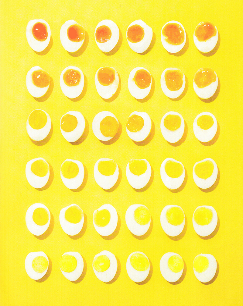 the alphabet i found in mom's kitchen (tiếng anh)