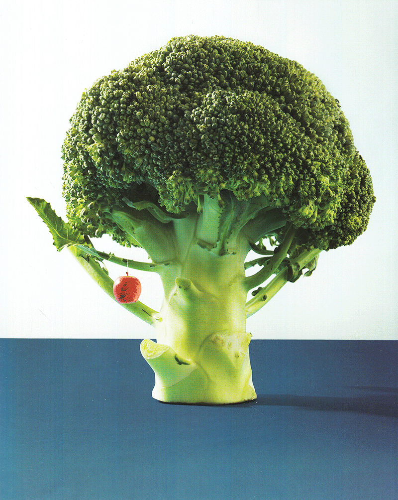 the alphabet i found in mom's kitchen (tiếng anh)