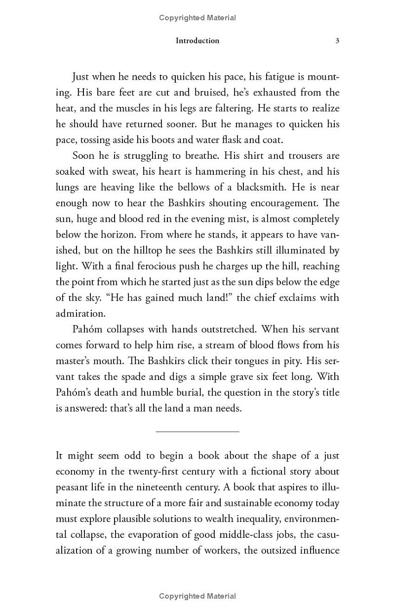 the alternative - how to build a just economy